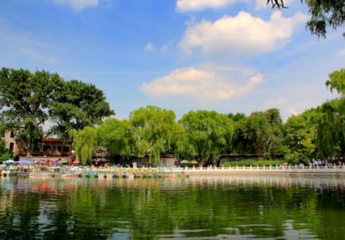 美丽的盛开的风景