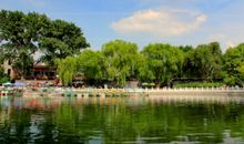 美丽绽放的风景