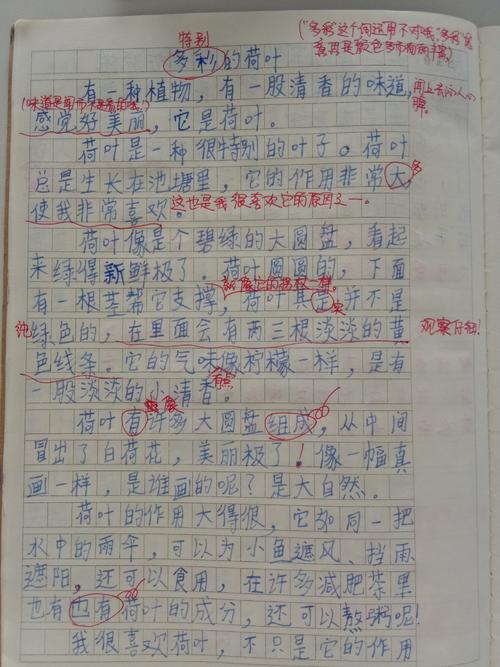 铅笔梦继续