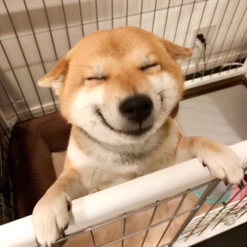 我的笑容