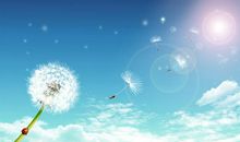 让压力轻舞飞扬