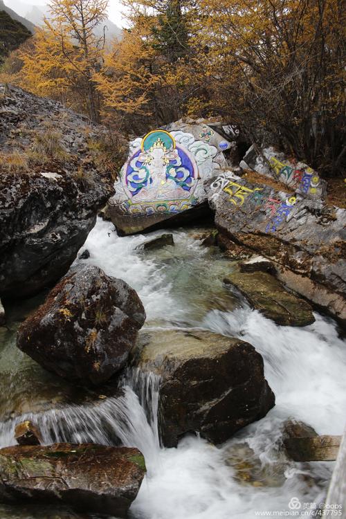 我不能忘记沿途的风景。