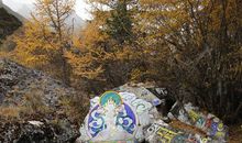 忘不了那处沿途风景