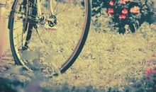 我心中永远的回忆