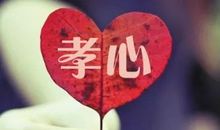 闲暇时找本书来陪陪你