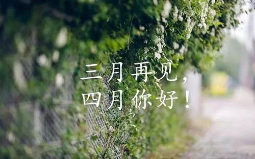 珍惜周围的爱