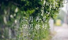 珍惜身边的爱