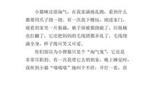 四年级观察日记可爱的小猫