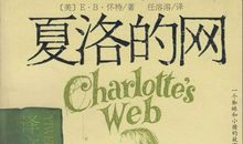 光亮在远方读后感