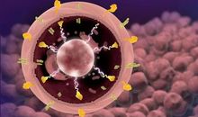 一种不同的力量