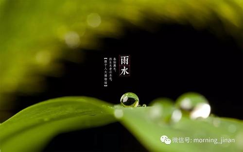 请相信树的力量