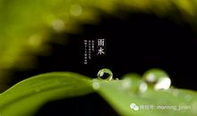 请相信树的力量