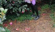 拥抱春色盎然的季节