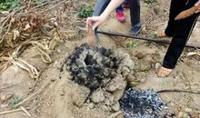 有一种记忆叫甜蜜