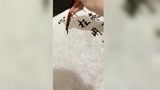 享受文本的魅力