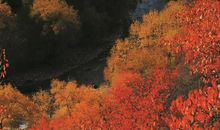 愿风景依旧岁月安好