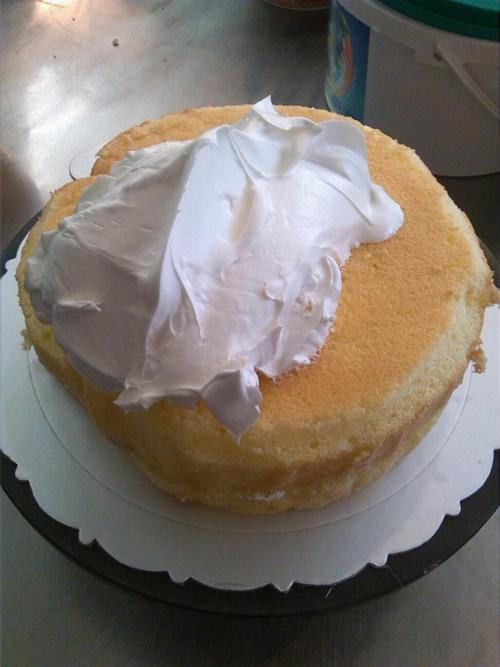 学习做生日蛋糕