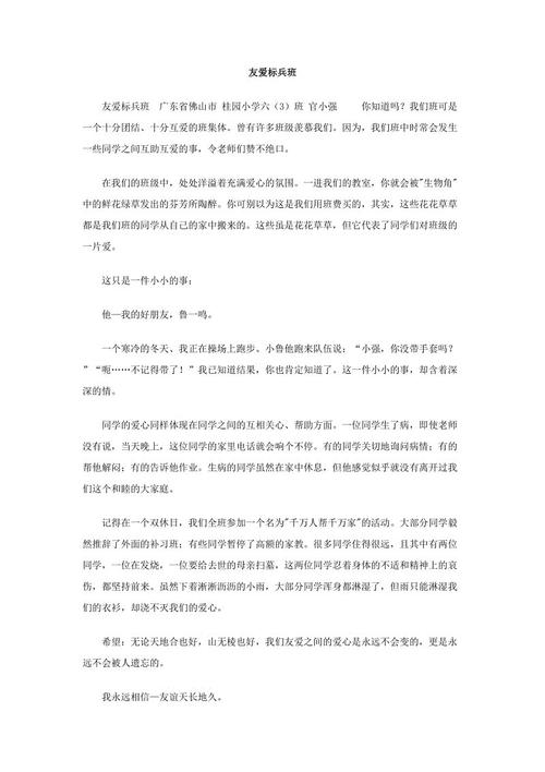 友谊Paceman _650字