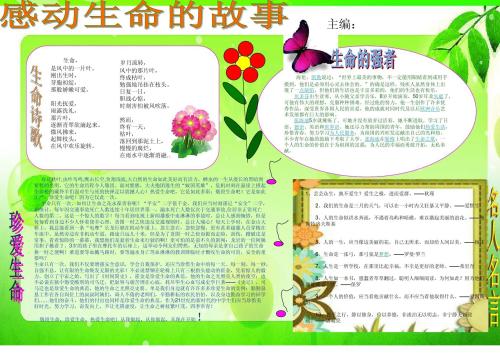 抚摸生活