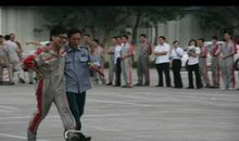 与金黄小子一起走过的日子