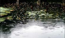 那一场欢快的雨