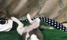 我们的噩梦，家长会