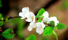 美在于细微深处