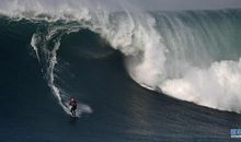 请相信自然力量