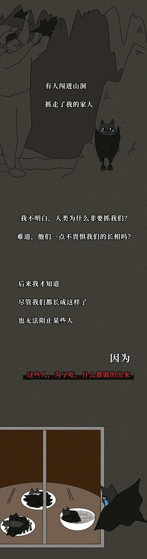 蝙蝠给出了一封写作600字的信