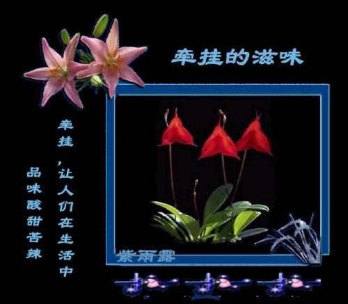 担心什么