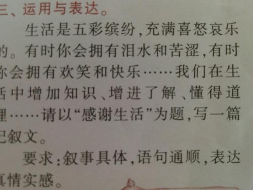 生活告诉我构成