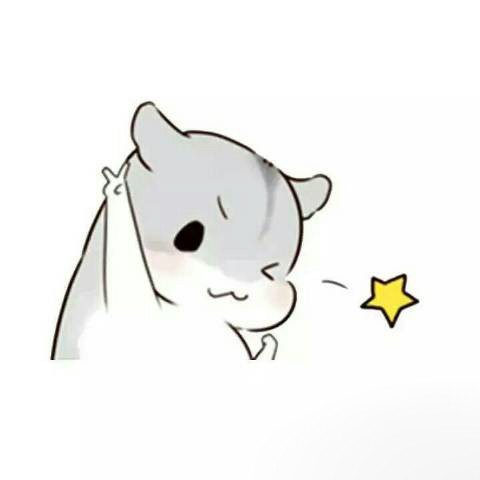 仓鼠，我想告诉你