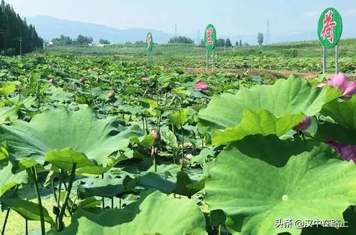 夏天的天气很难走