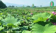 暑天气，难毅行