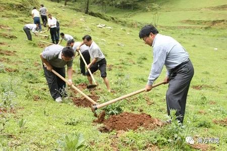 树将使生活变得更美好
