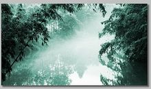 万物生灵，让生活充满诗意