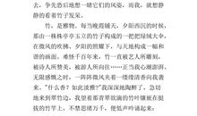 写梅花的作文借物喻人