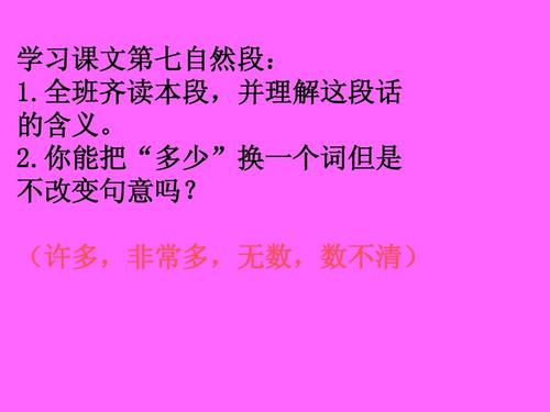 动物是一个人类老师