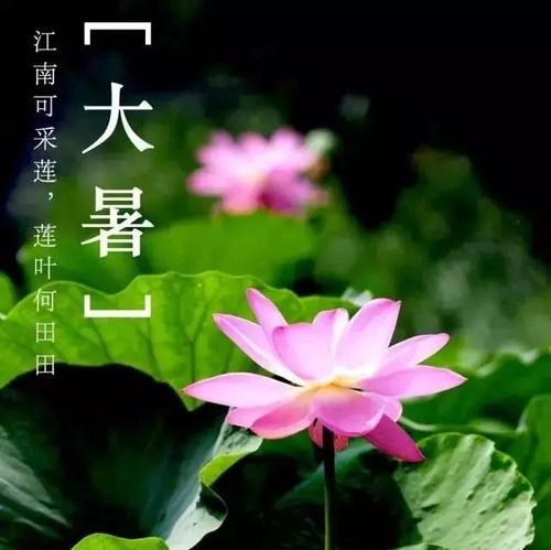 今天的夏天