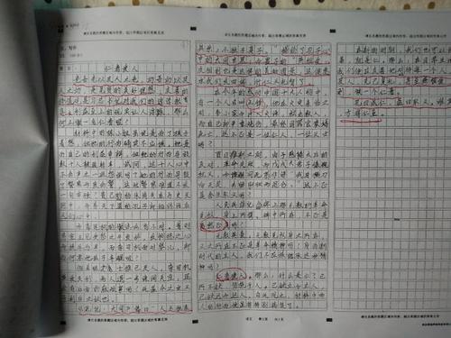 携带传统文化构成