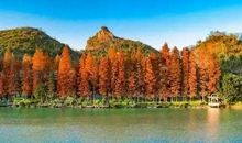 拐角处的那抹情