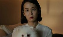 聊聊我们一家人的生肖