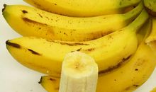 香蕉城里没有香蕉