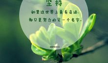 生活因真诚而美好