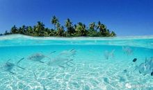 晴朗的夏日之旅