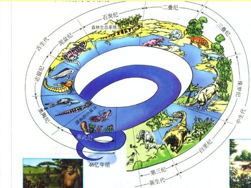 谁改变了环境