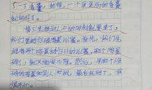 在传统节日里作文