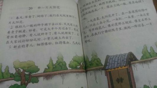 我的植物朋友向日葵组成三年级300个字