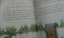 我的植物朋友向日葵作文三年级300字