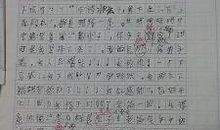 假如我是什么作文200字